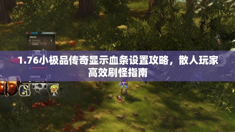 1.76小极品传奇显示血条设置攻略，散人玩家高效刷怪指南