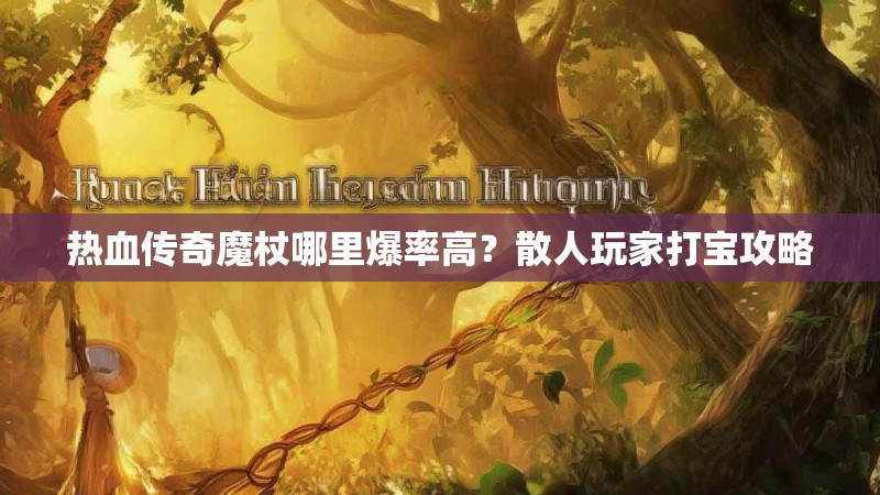热血传奇魔杖哪里爆率高？散人玩家打宝攻略