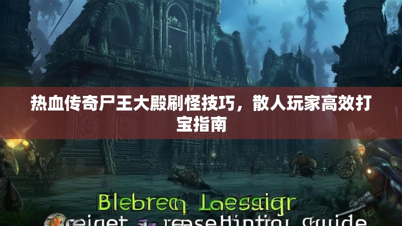 热血传奇尸王大殿刷怪技巧，散人玩家高效打宝指南