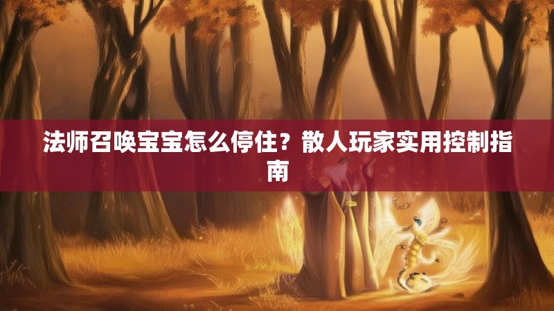 法师召唤宝宝怎么停住？散人玩家实用控制指南