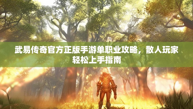 武易传奇官方正版手游单职业攻略，散人玩家轻松上手指南
