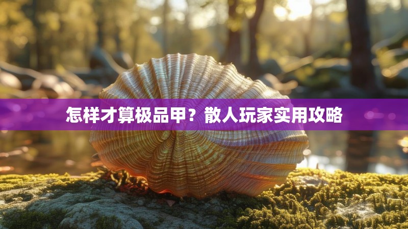 怎样才算极品甲？散人玩家实用攻略