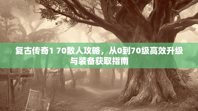 复古传奇1 70散人攻略，从0到70级高效升级与装备获取指南