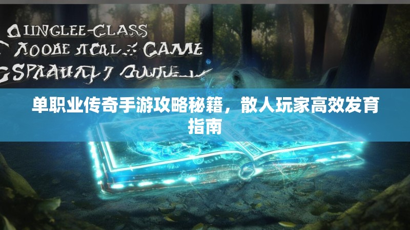 单职业传奇手游攻略秘籍，散人玩家高效发育指南