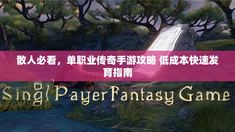 散人必看,单职业传奇手游攻略 低成本快速发育指南