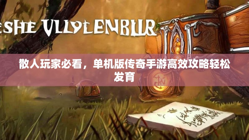 散人玩家必看，单机版传奇手游高效攻略轻松发育