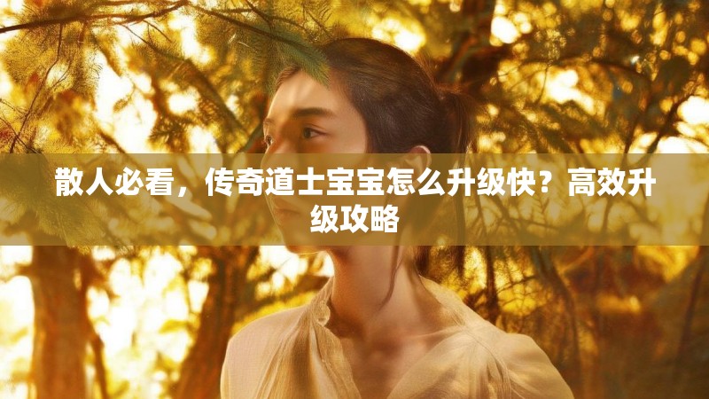 散人必看，传奇道士宝宝怎么升级快？高效升级攻略