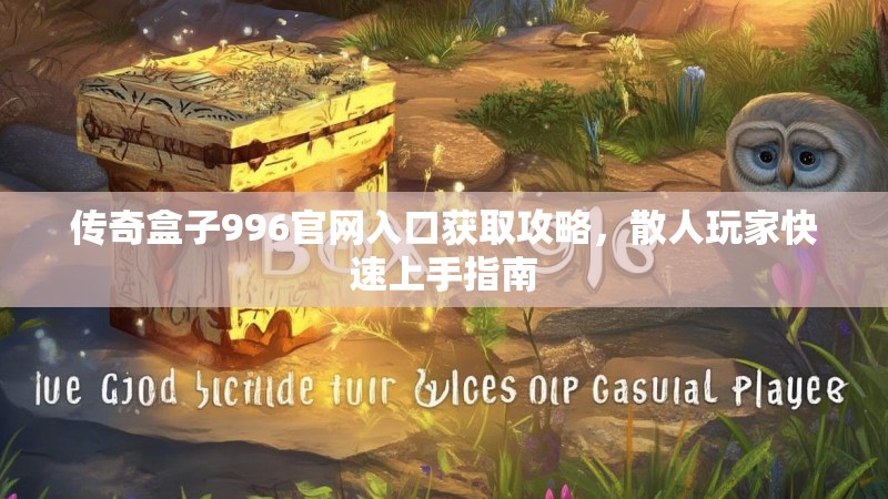 传奇盒子996官网入口获取攻略，散人玩家快速上手指南