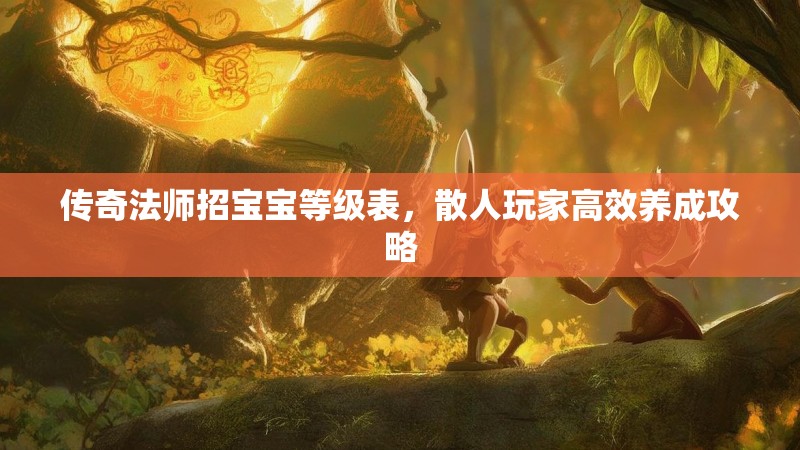 传奇法师招宝宝等级表，散人玩家高效养成攻略