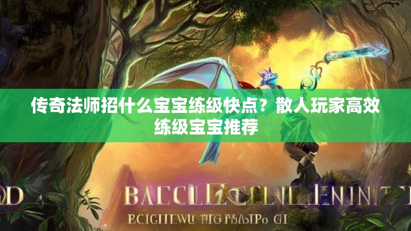 传奇法师招什么宝宝练级快点？散人玩家高效练级宝宝推荐