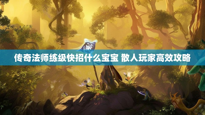 传奇法师练级快招什么宝宝 散人玩家高效攻略