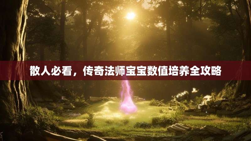 散人必看,传奇法师宝宝数值培养全攻略