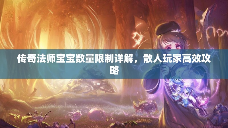 传奇法师宝宝数量限制详解,散人玩家高效攻略