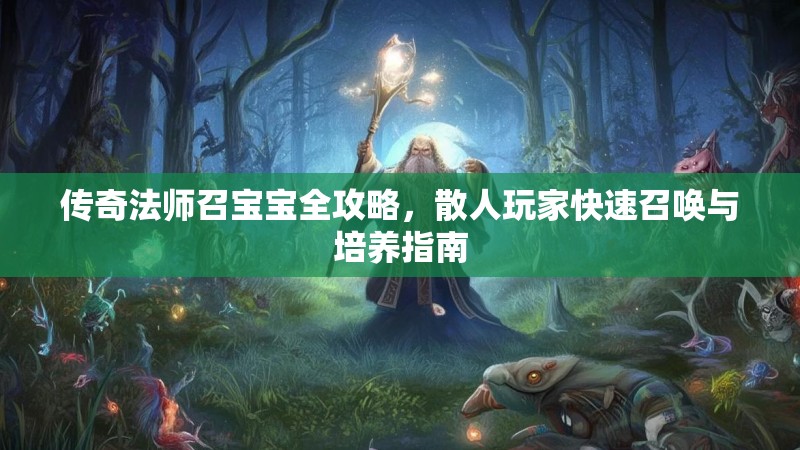 传奇法师召宝宝全攻略，散人玩家快速召唤与培养指南