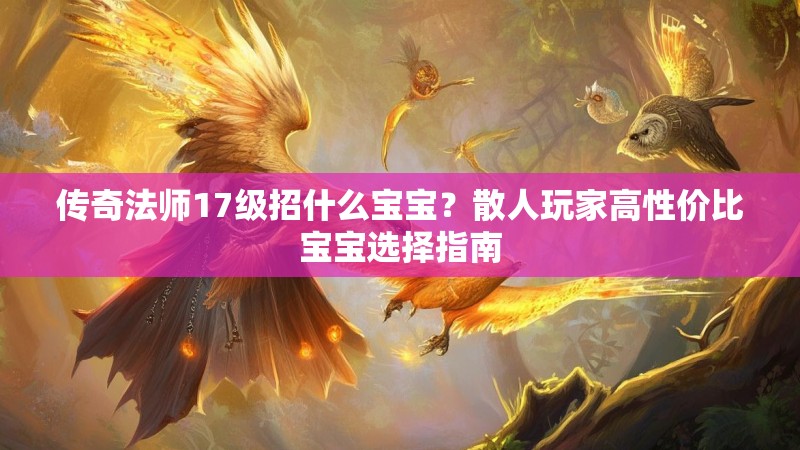 传奇法师17级招什么宝宝？散人玩家高性价比宝宝选择指南