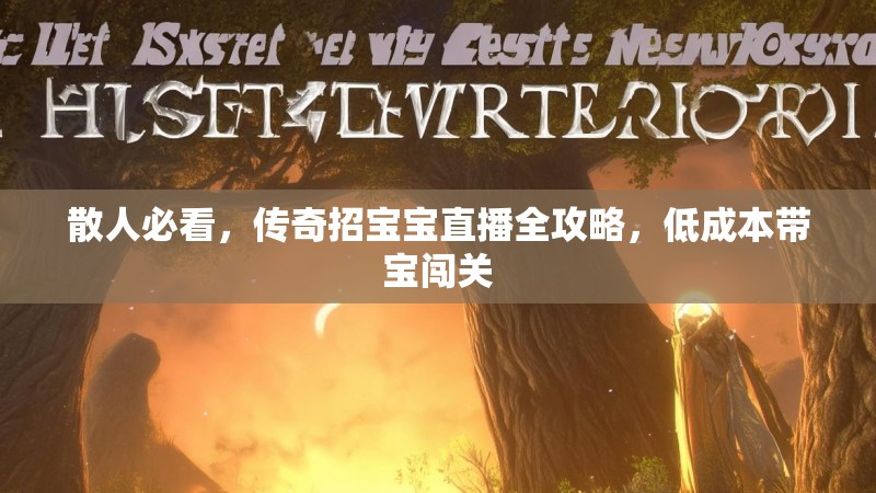 散人必看,传奇招宝宝直播全攻略,低成本带宝闯关