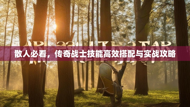 散人必看，传奇战士技能高效搭配与实战攻略