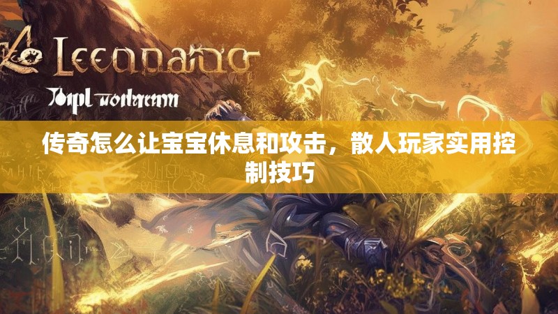 传奇怎么让宝宝休息和攻击，散人玩家实用控制技巧