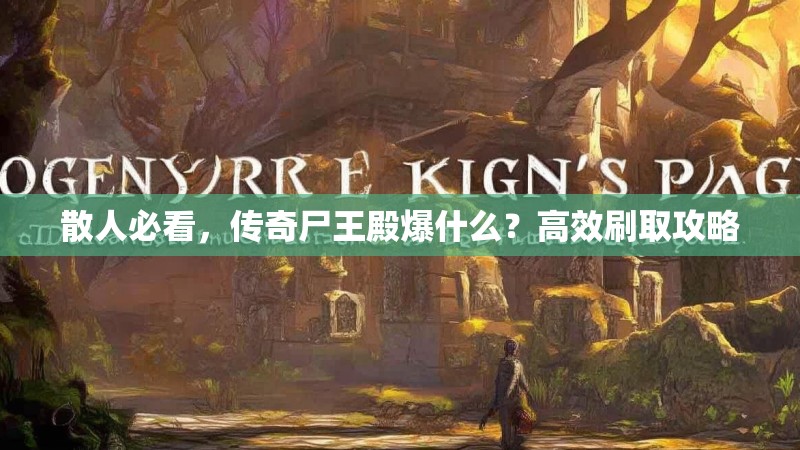 散人必看,传奇尸王殿爆什么?高效刷取攻略