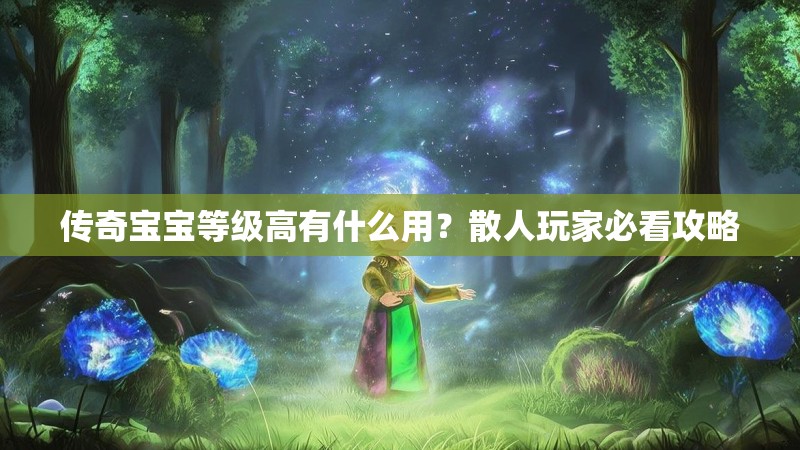 传奇宝宝等级高有什么用？散人玩家必看攻略