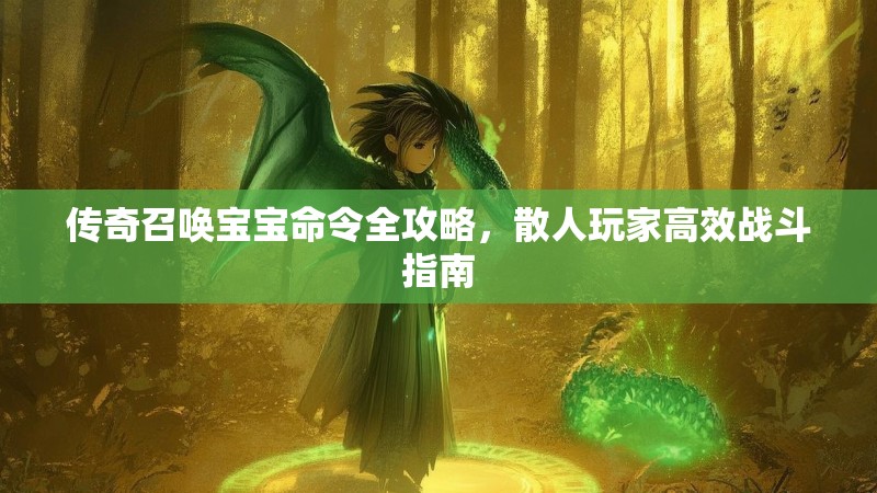 传奇召唤宝宝命令全攻略,散人玩家高效战斗指南