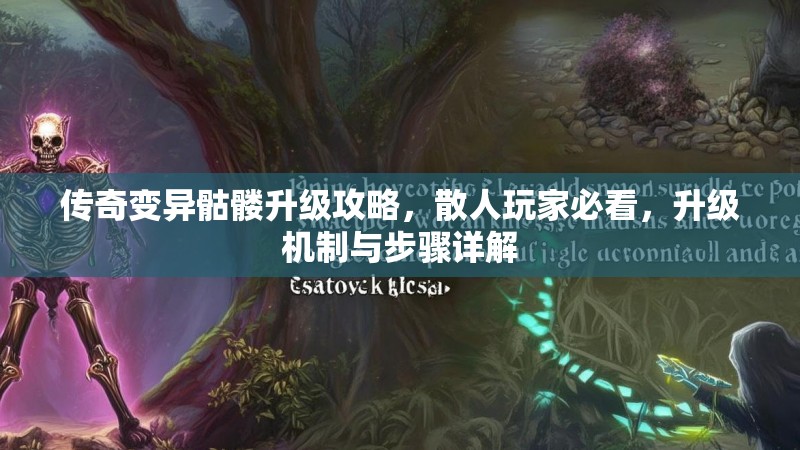 传奇变异骷髅升级攻略,散人玩家必看,升级机制与步骤详解