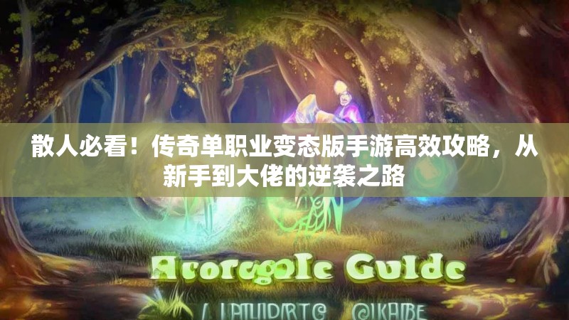 散人必看！传奇单职业变态版手游高效攻略，从新手到大佬的逆袭之路