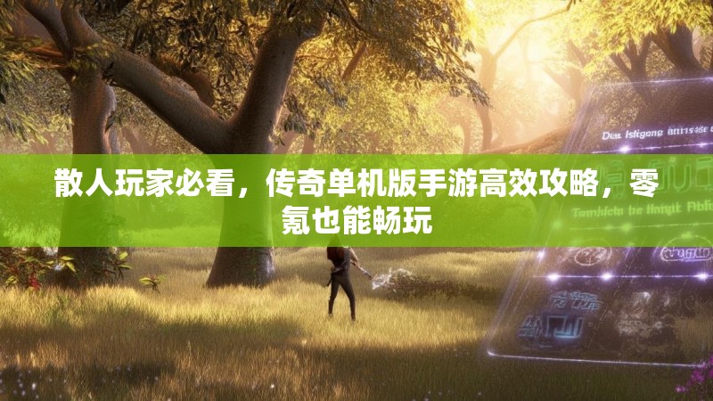 散人玩家必看，传奇单机版手游高效攻略，零氪也能畅玩