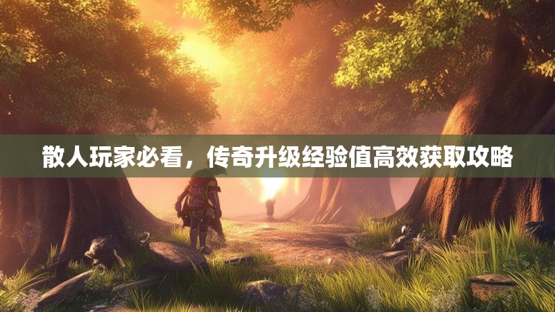 散人玩家必看，传奇升级经验值高效获取攻略