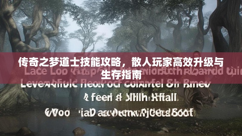 传奇之梦道士技能攻略，散人玩家高效升级与生存指南