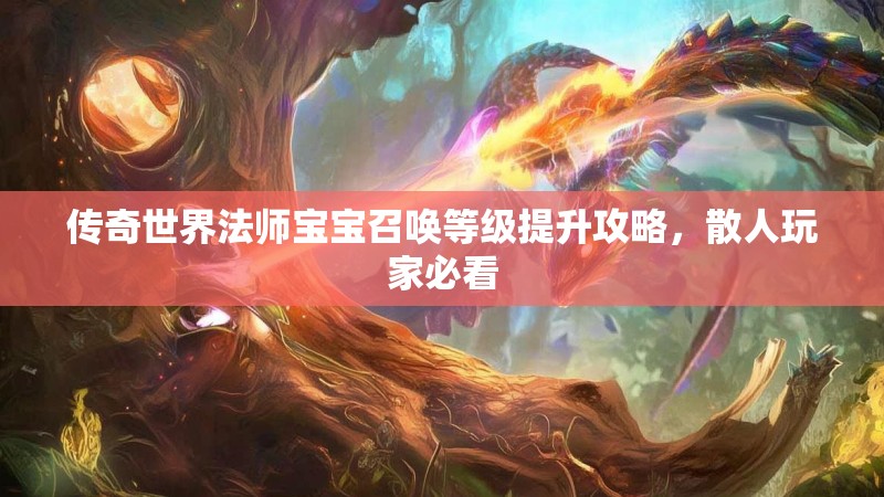 传奇世界法师宝宝召唤等级提升攻略,散人玩家必看
