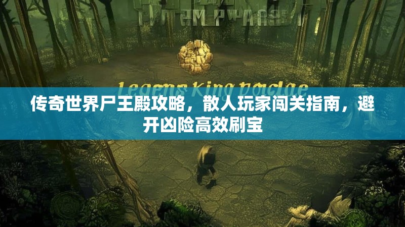 传奇世界尸王殿攻略，散人玩家闯关指南，避开凶险高效刷宝