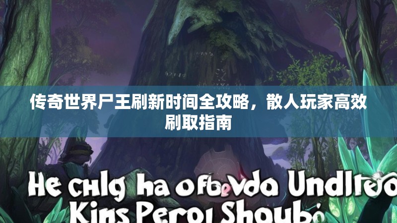 传奇世界尸王刷新时间全攻略,散人玩家高效刷取指南