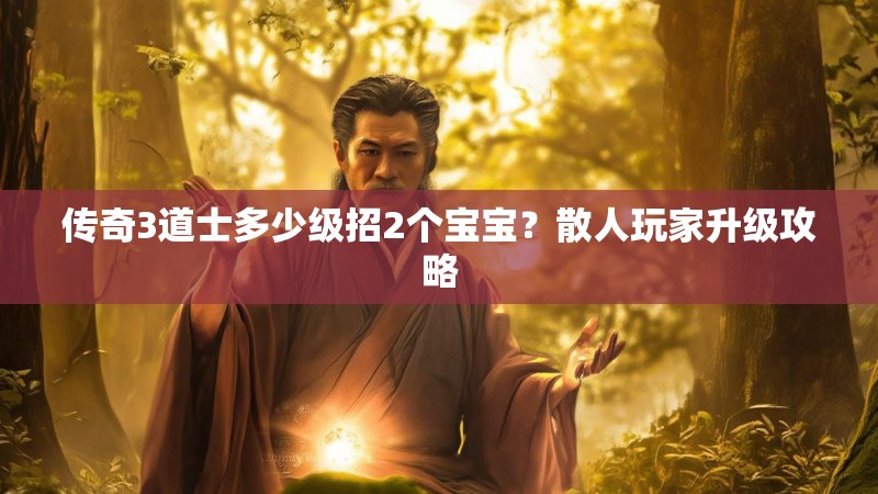 传奇3道士多少级招2个宝宝？散人玩家升级攻略
