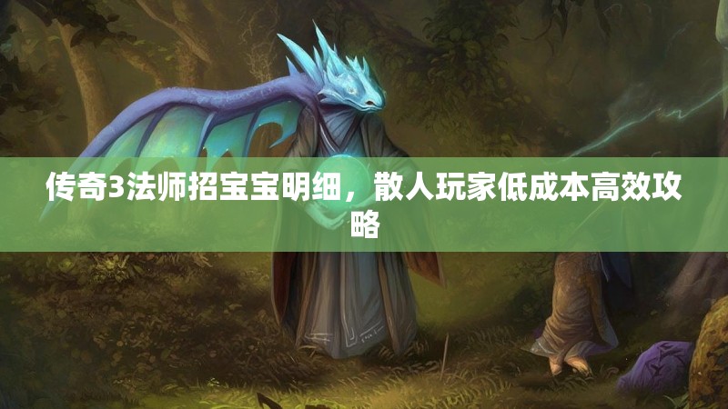 传奇3法师招宝宝明细，散人玩家低成本高效攻略