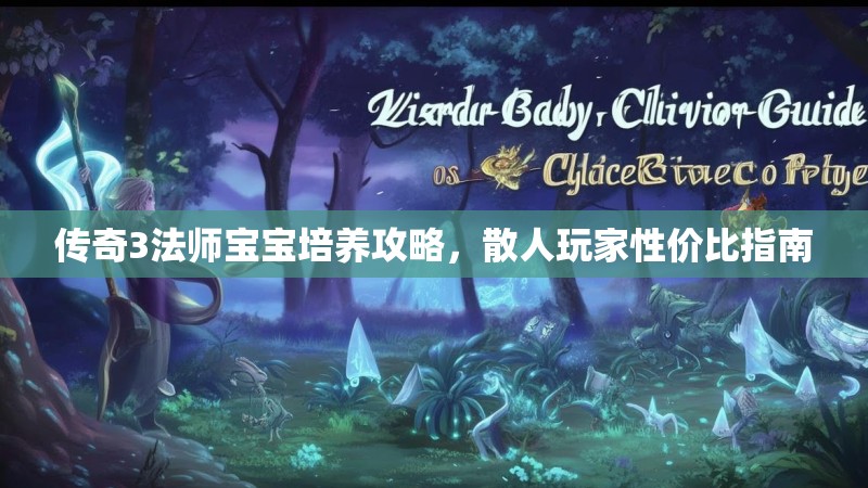传奇3法师宝宝培养攻略，散人玩家性价比指南