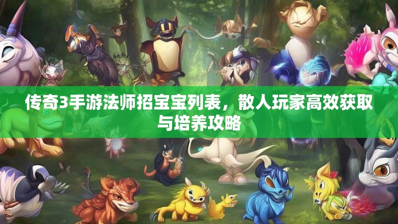 传奇3手游法师招宝宝列表,散人玩家高效获取与培养攻略