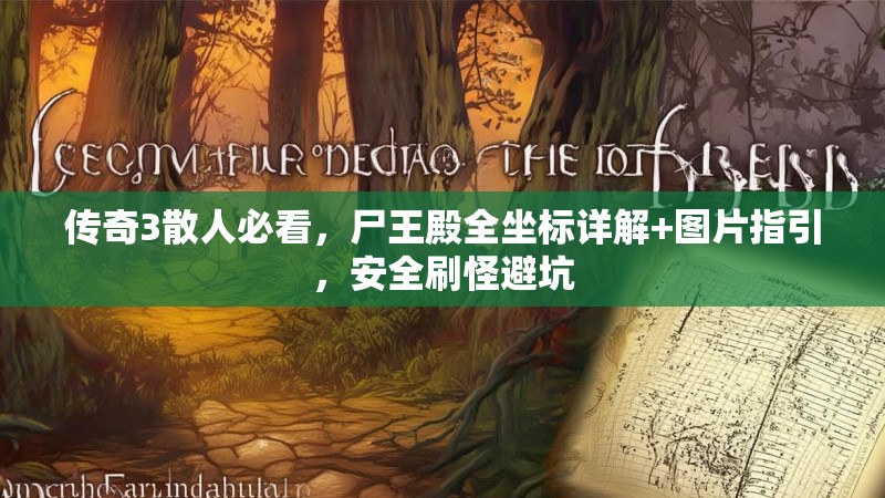 传奇3散人必看，尸王殿全坐标详解+图片指引，安全刷怪避坑