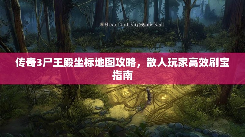 传奇3尸王殿坐标地图攻略，散人玩家高效刷宝指南