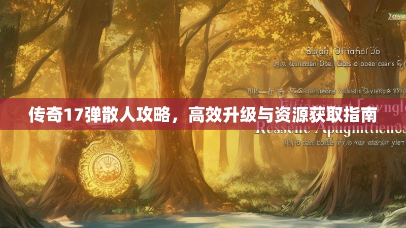 传奇17弹散人攻略，高效升级与资源获取指南