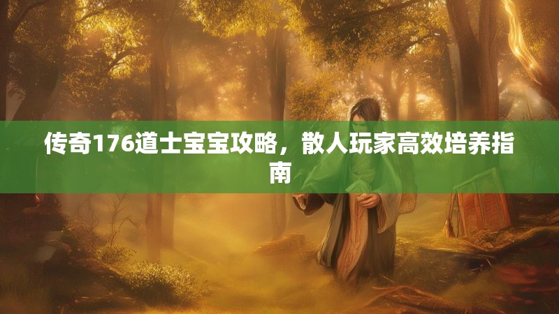 传奇176道士宝宝攻略，散人玩家高效培养指南