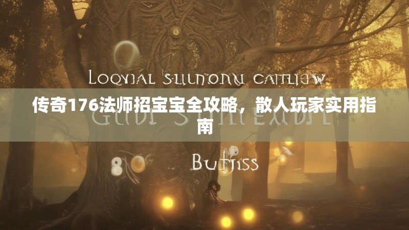 传奇176法师招宝宝全攻略,散人玩家实用指南