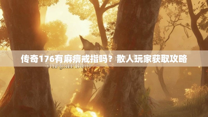 传奇176有麻痹戒指吗?散人玩家获取攻略