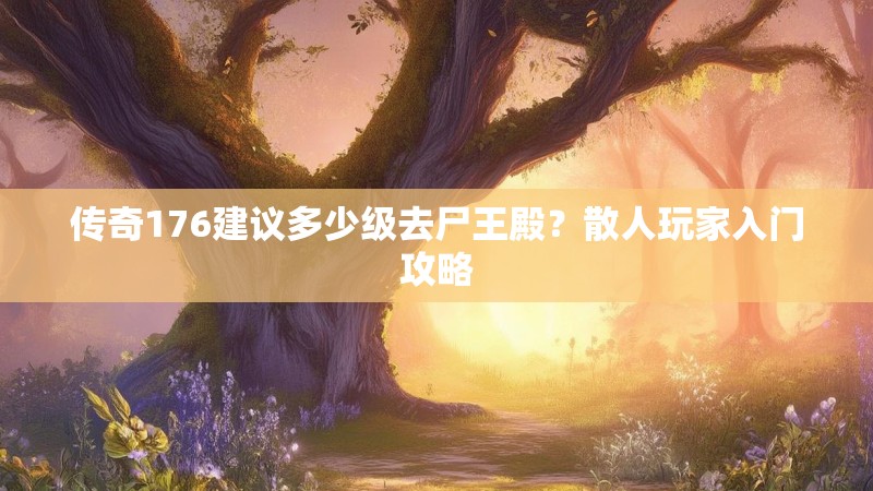 传奇176建议多少级去尸王殿？散人玩家入门攻略