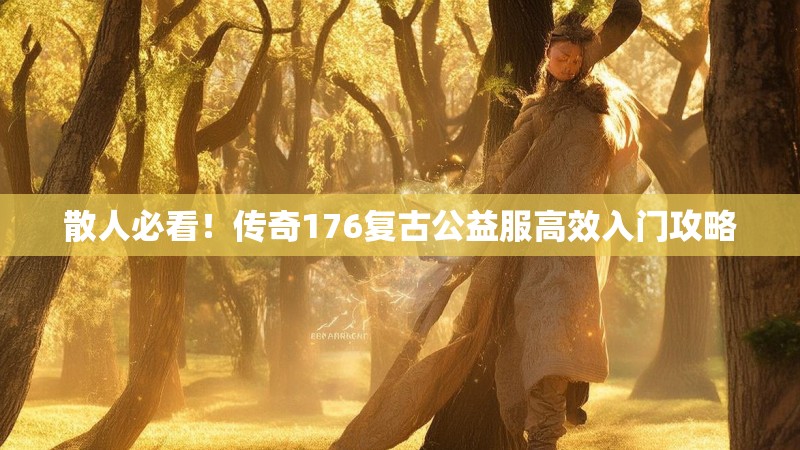 散人必看！传奇176复古公益服高效入门攻略
