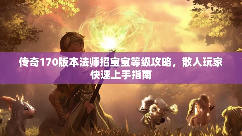 传奇170版本法师招宝宝等级攻略,散人玩家快速上手指南