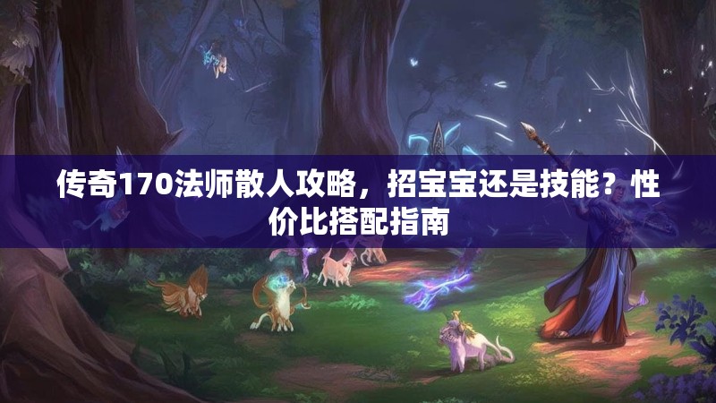 传奇170法师散人攻略,招宝宝还是技能?性价比搭配指南
