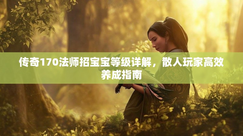 传奇170法师招宝宝等级详解,散人玩家高效养成指南