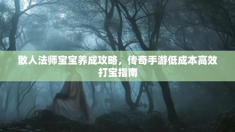 散人法师宝宝养成攻略，传奇手游低成本高效打宝指南