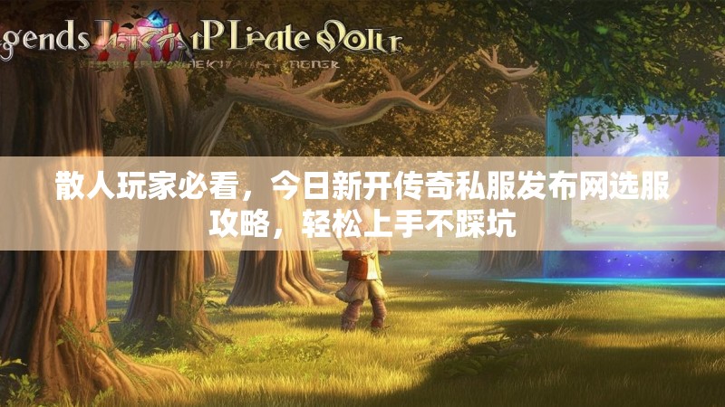 散人玩家必看，今日新开传奇私服发布网选服攻略，轻松上手不踩坑